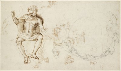 Recto: Studies van een zittende man, en van acanthusbladeren, WA1846.147 door Raffaello Sanzio Raphael